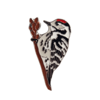 Insignă ciocănitoare pestriță mică