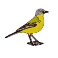 Insignă codobatură galbenă