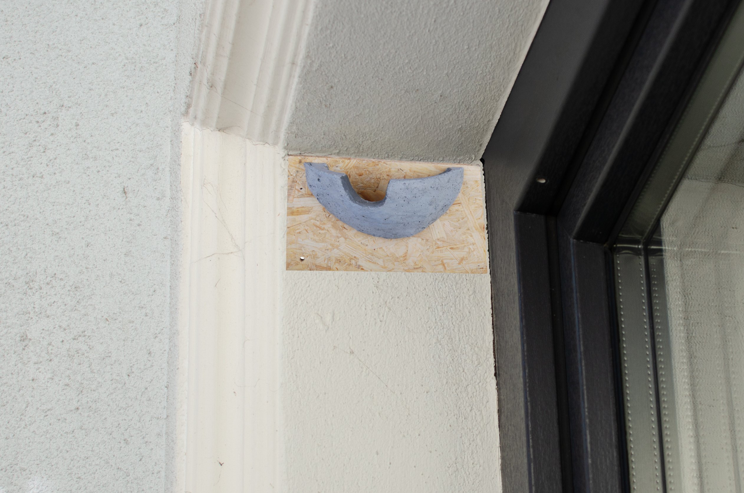 Cuib lăstun de casă - imagine 2