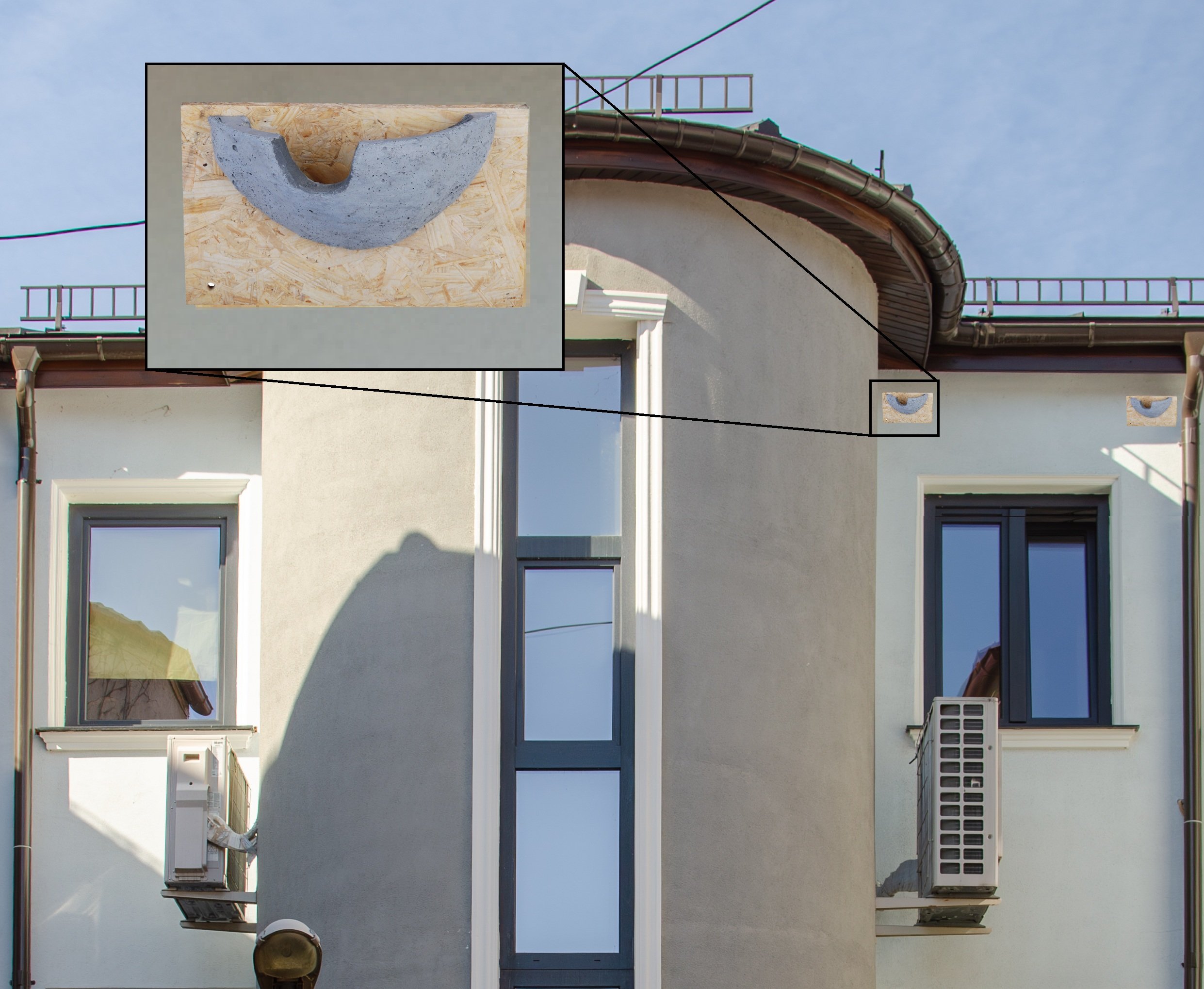 Cuib lăstun de casă - imagine 3