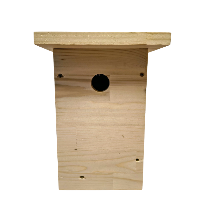 Cuib tip B (neasamblat) 2025