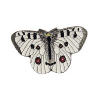 Insignă fluturele Apollo