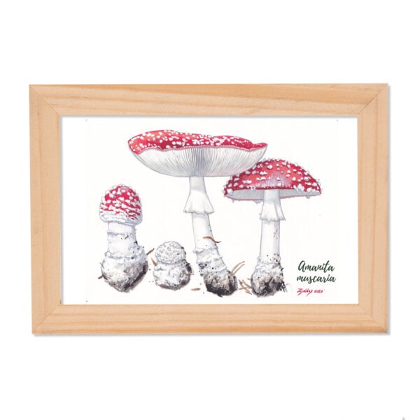 Tablou Amanita muscaria
