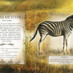 Animale din Africa și glasurile lor - imagine 3