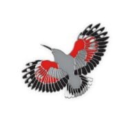 Insignă fluturaș de stâncă