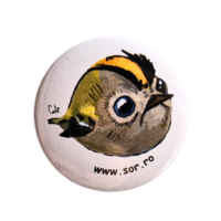 Insignă rotundă aușel cu cap galben