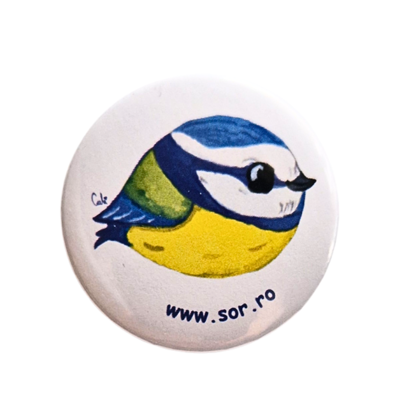 Insignă rotundă pițigoi albastru