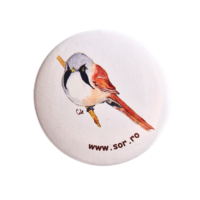 Insignă rotundă pițigoi de stuf