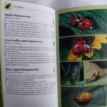 Determinator de plante și animale - imagine 5