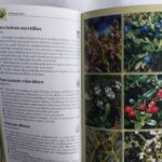 Determinator de plante și animale - imagine 8