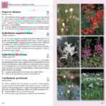 Determinator de plante și animale - imagine 3