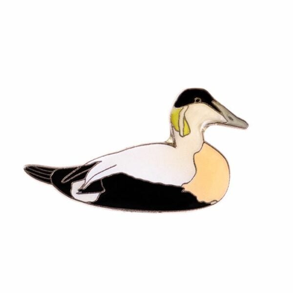 Insignă eider