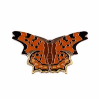 Insignă fluture cu litera C