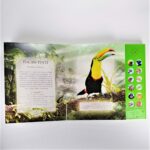 Glasuri din pădurea ecuatorială - imagine 2