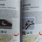 Atlasul Păsărilor Clujului - limba maghiară - imagine 4