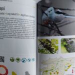 Atlasul Păsărilor Clujului - limba maghiară - imagine 3