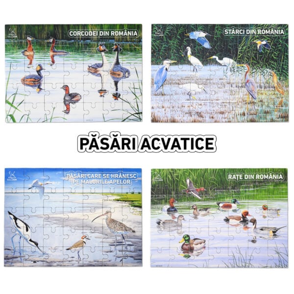 Colecția de puzzle-uri educative Păsări acvatice