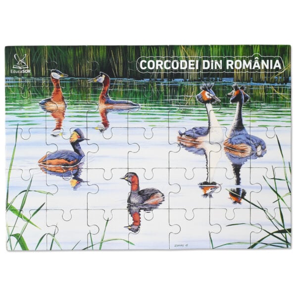 Puzzle Corcodei din România
