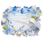 Colecția de puzzle-uri educative Păsări acvatice - imagine 4
