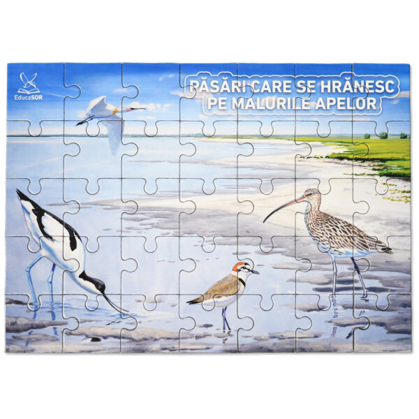 Puzzle Păsări care se hrănesc pe malurile apelor