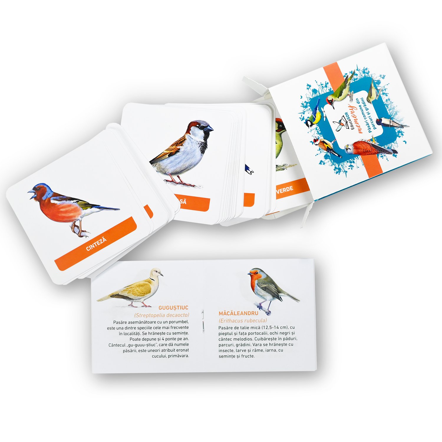 Joc memory Păsări comune din parcuri și grădini - imagine 2