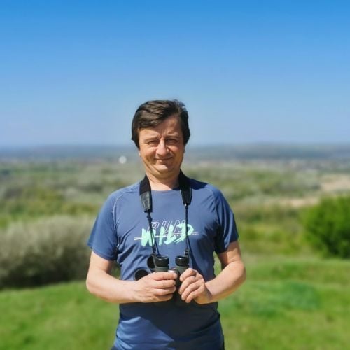 Constantin Ion