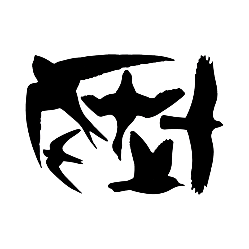 Autocolant fereastră păsări