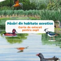 Păsări din habitate acvatice