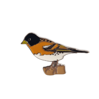 Insignă cinteză de iarnă