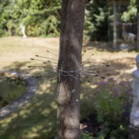 Protecție cuib anti-pisici