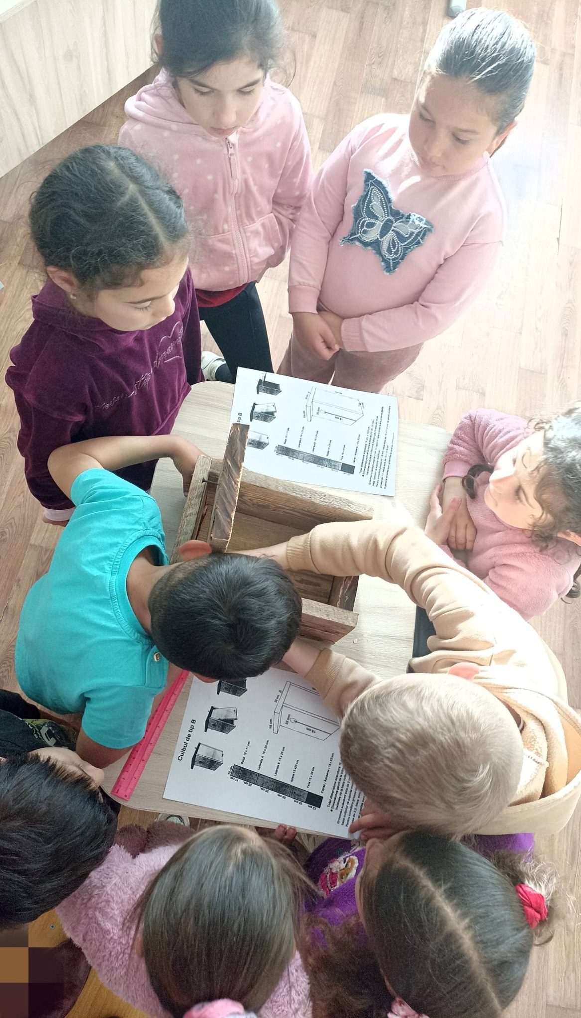 cuib artificial_SG Mihai Viteazul_structura SG Nr 4 Fetești Ialomița2